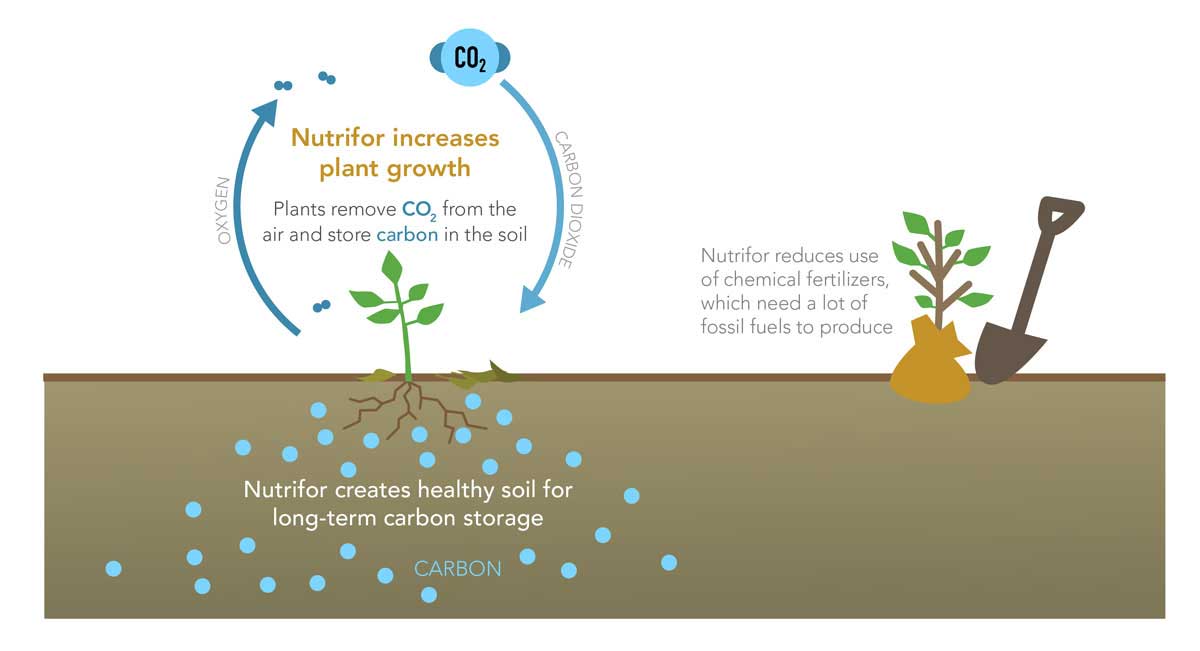 How Nutrifor sequesters carbon