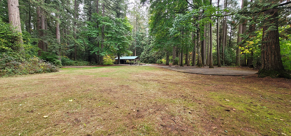 Camp Coyote Outdoor Group Campsite