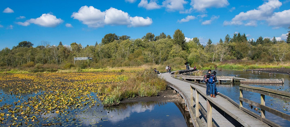 Burnaby Lake Regional Park Mangement Plan