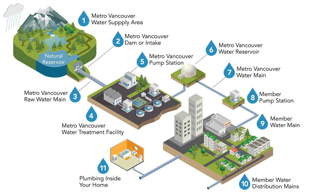 How water gets to your home infograph